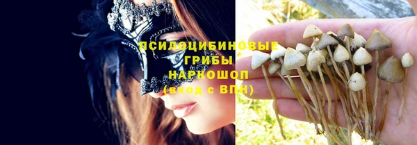 MESCALINE Осинники